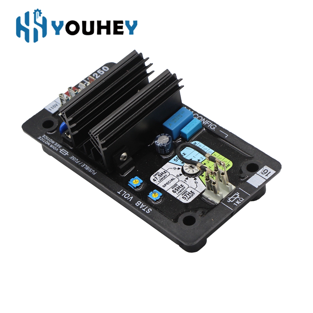 R250 AVR Leroy Somer Regolator - Cycloidal Reducer Bldc Motor recensione e prezzo