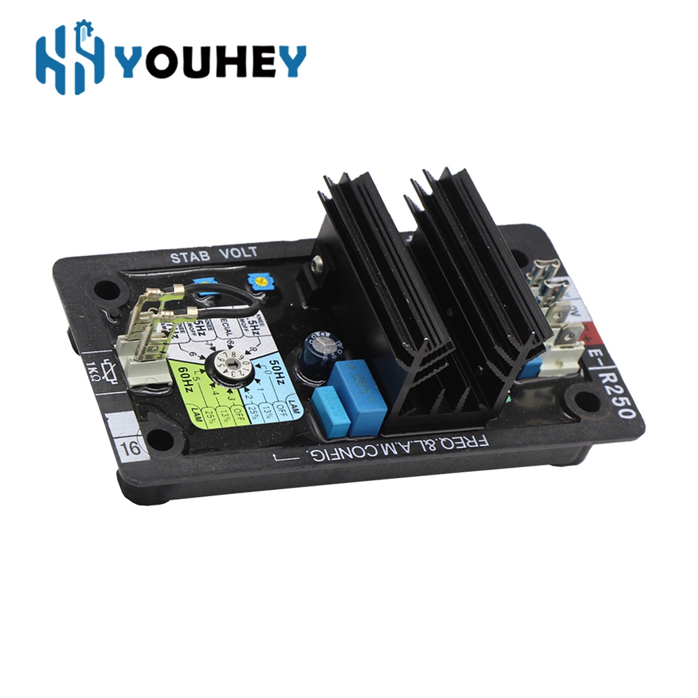R250 AVR Leroy Somer Regolator - Cycloidal Reducer Bldc Motor recensione e prezzo