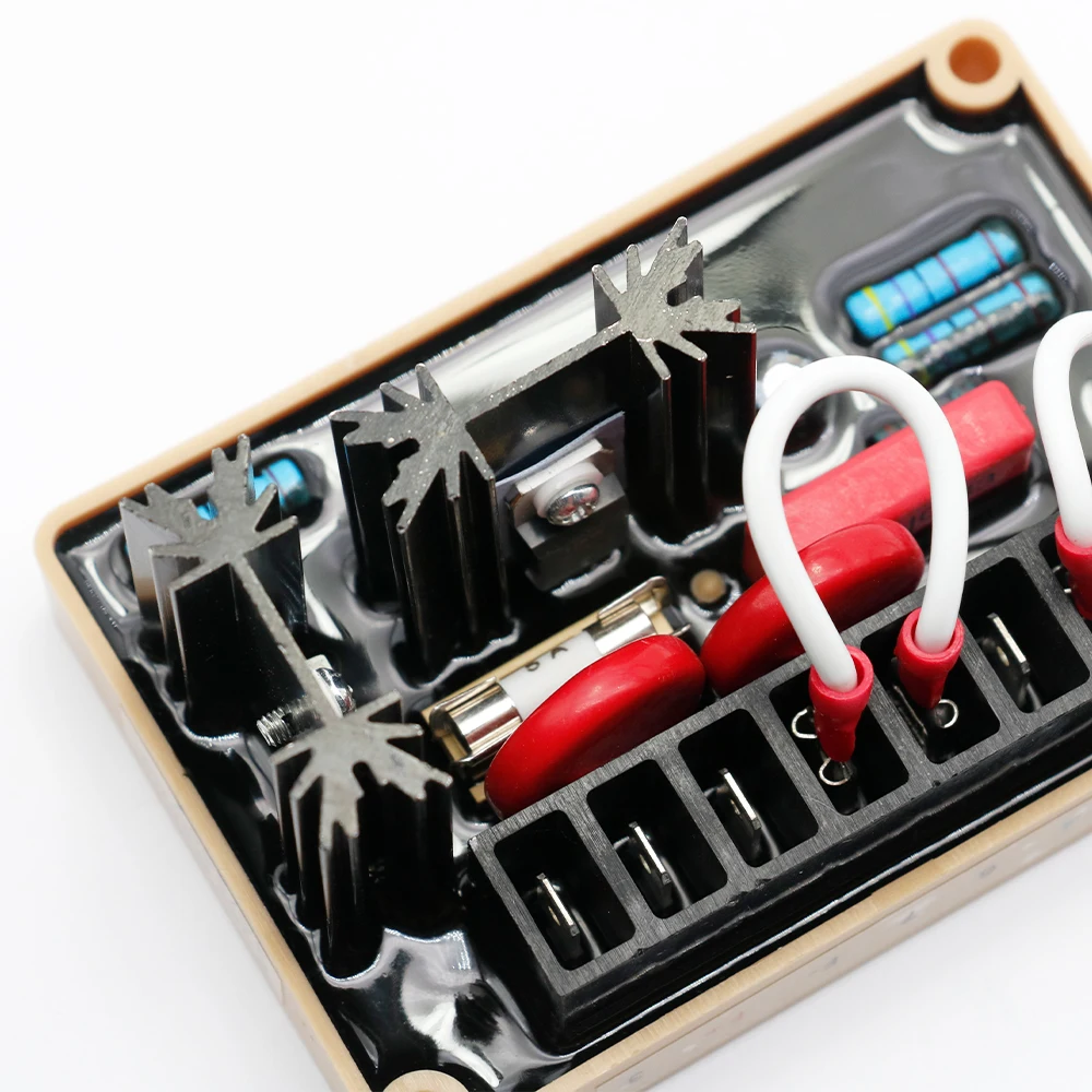 Regolatore di Tensione AVR per - Cycloidal Reducer Bldc Motor recensione e prezzo